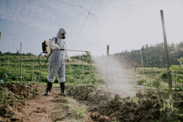 Pest Control Cost in Graham, NC