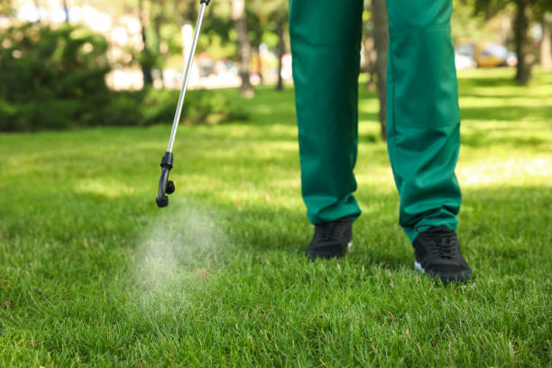 Best Commercial Pest Control Services  in Graham, NC