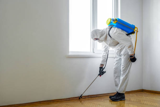 Best Affordable Pest Control Services  in Graham, NC