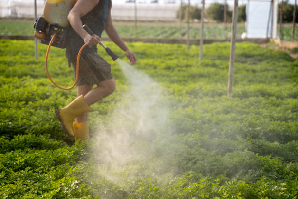 Best Mosquito Control Services  in Graham, NC