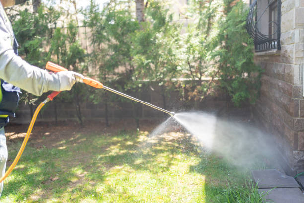 Best Pest Control Treatment  in Graham, NC